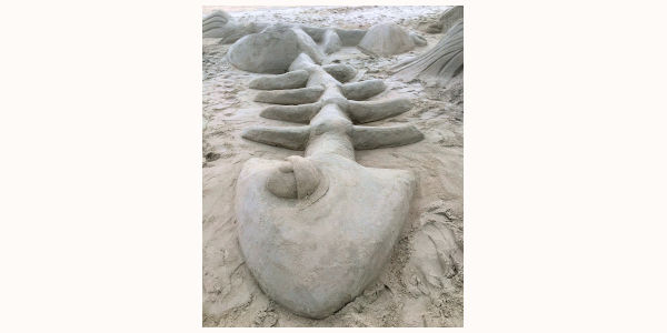 Les Sculptures de sable